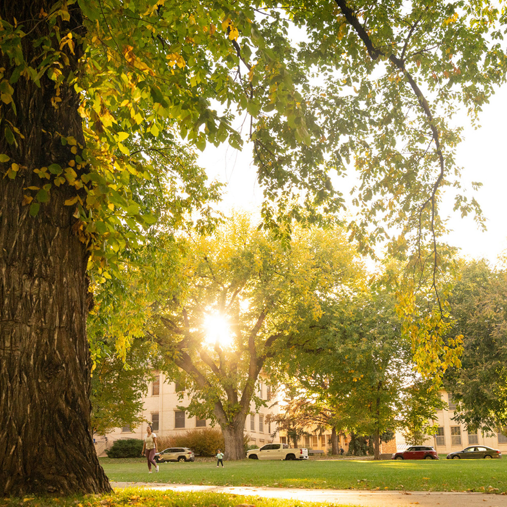 green campus